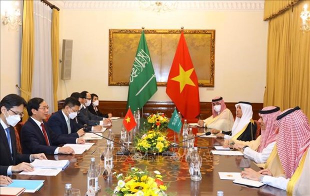 Foreign Minister Bui Thanh Son holds talks with Saudi Arabian counterpart